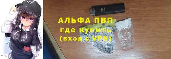 ECSTASY Белокуриха
